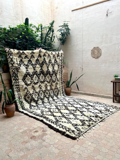 Collector's Rugs