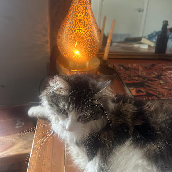 Order by Size : Moroccan Handmade Brass Table Lamp (Danah)